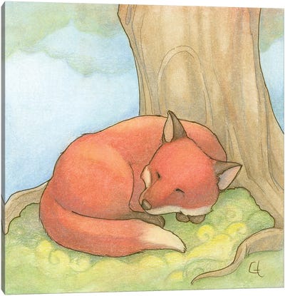 Sleepy Fox Canvas Art Print - Might Fly Art & Illustration