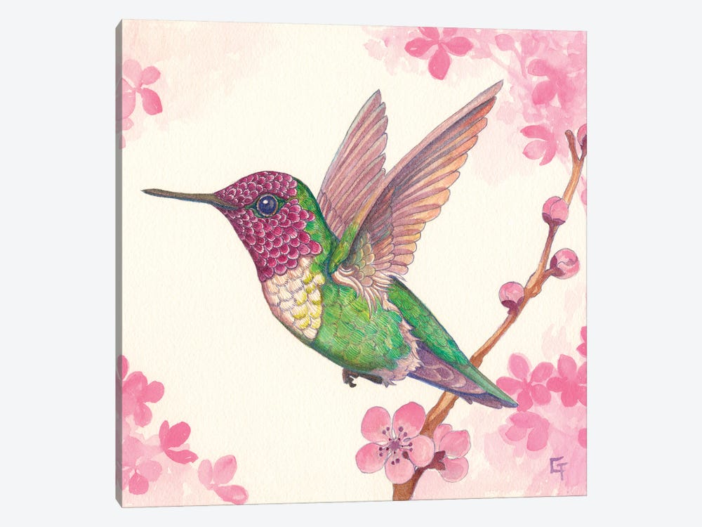 Anna's Hummingbird by Might Fly Art & Illustration 1-piece Canvas Print