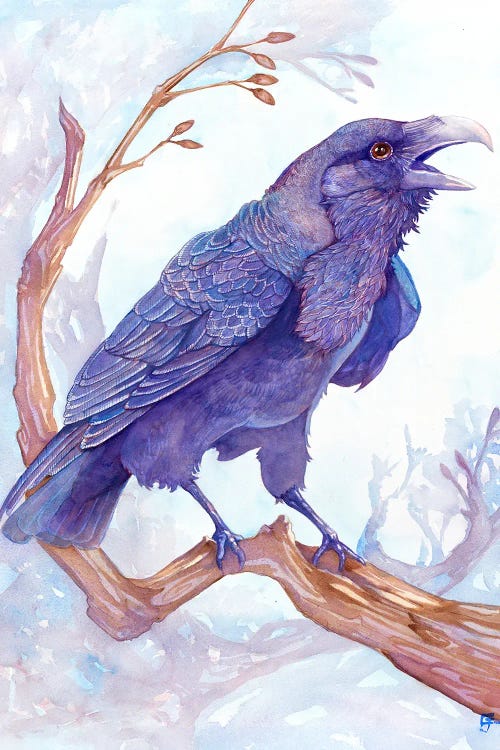 Cawing Raven by Might Fly Art & Illustration wall art
