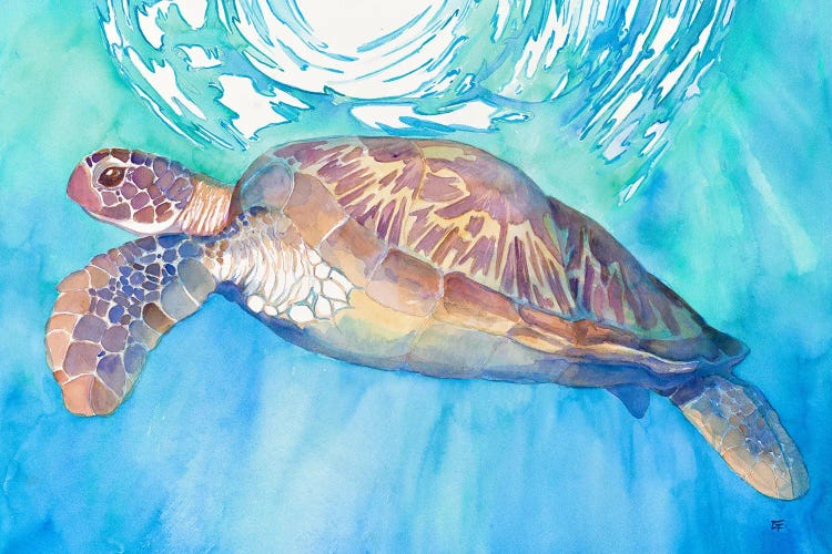 Sea Turtle by Might Fly Art & Illustration wall art