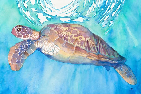 Reptiles & Amphibians: Sea Turtle by Might Fly Art & Illustration