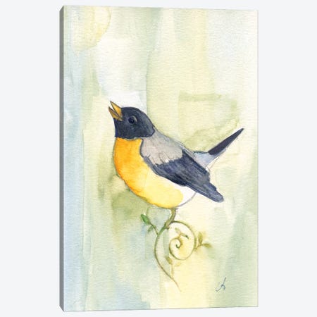 Song Bird Canvas Print #FAI26} by Might Fly Art & Illustration Canvas Wall Art