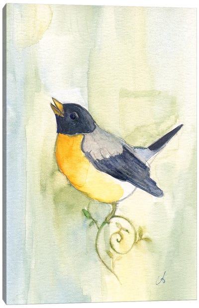 Song Bird Canvas Art Print - Might Fly Art & Illustration
