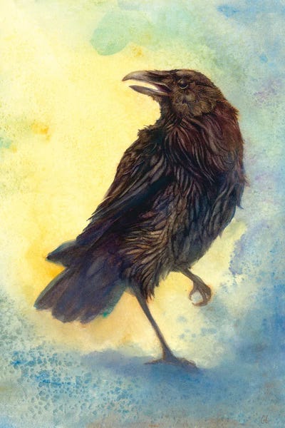 Casting Shadows by Might Fly Art & Illustration canvas print