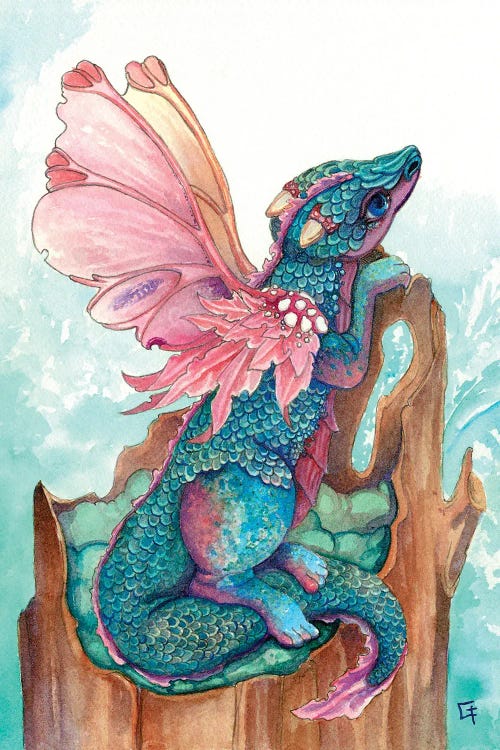 fairies and dragons art