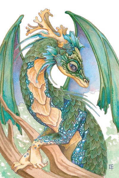 Pearl Sided Dragon