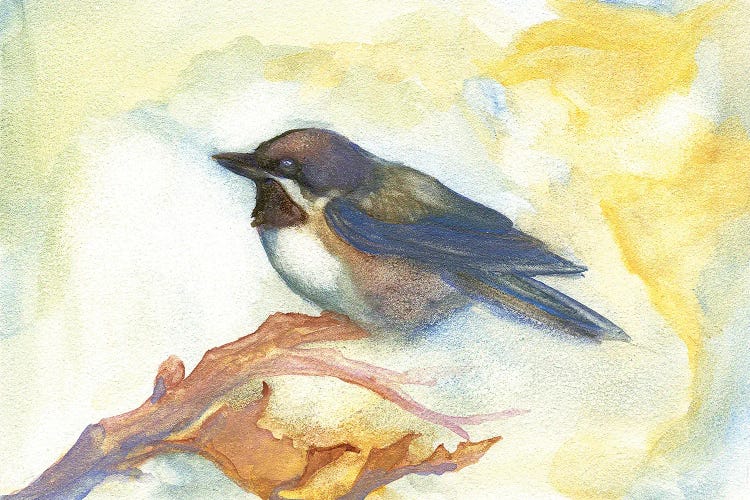 Chickadee In Fall