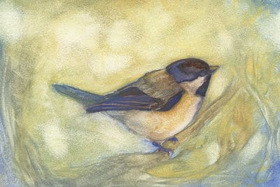 Chickadee in Dappled Sunlight by Might Fly Art & Illustration art print