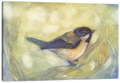 Chickadee in Dappled Sunlight Canvas Art Print - Might Fly Art & Illustration