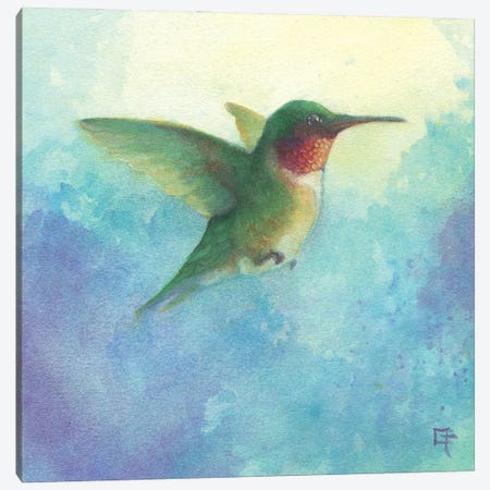 Hummingbird in Flight Canvas Print #FAI50} by Might Fly Art & Illustration Canvas Artwork