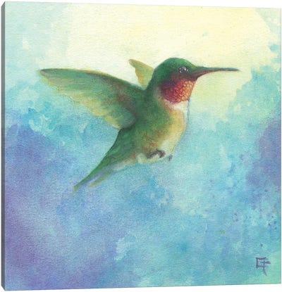 Hummingbird in Flight Canvas Art Print - Might Fly Art & Illustration