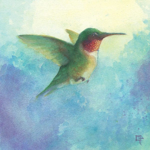 Hummingbirds: Hummingbird in Flight by Might Fly Art & Illustration