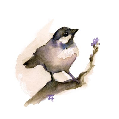 Perching Chickadee by Might Fly Art & Illustration canvas print