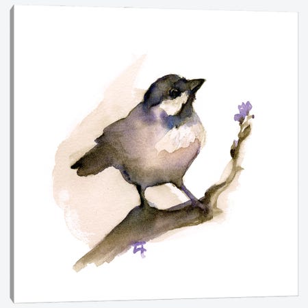 Perching Chickadee Canvas Print #FAI51} by Might Fly Art & Illustration Canvas Artwork