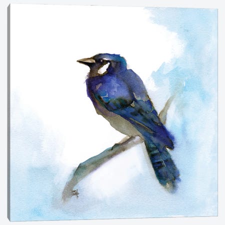 Blue Jay Canvas Print #FAI52} by Might Fly Art & Illustration Canvas Art