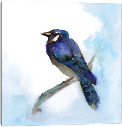 Blue Jay Canvas Art Print - Might Fly Art & Illustration
