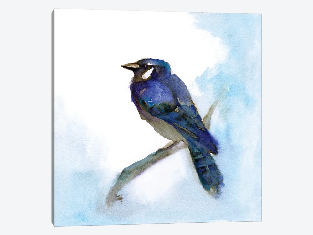 Blue Jay by Might Fly Art & Illustration 1-piece Art Print