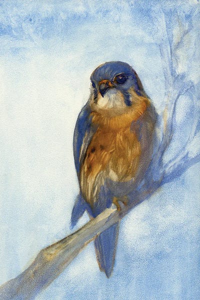 Rustic Winter: Kestrel by Might Fly Art & Illustration