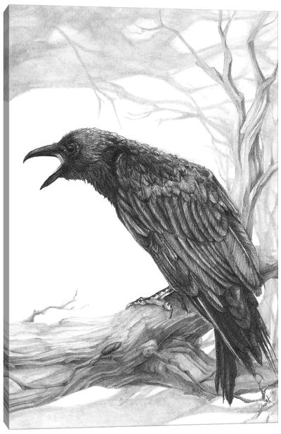The Visitor Canvas Art Print - Raven Art
