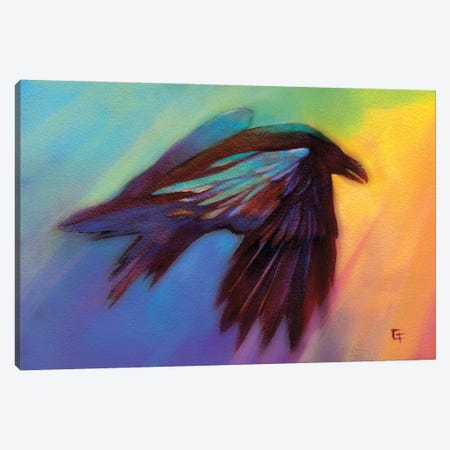 Raven in a Rainbow Canvas Print #FAI58} by Might Fly Art & Illustration Canvas Wall Art