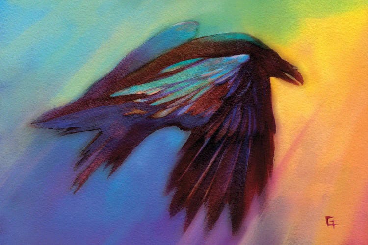 Raven in a Rainbow