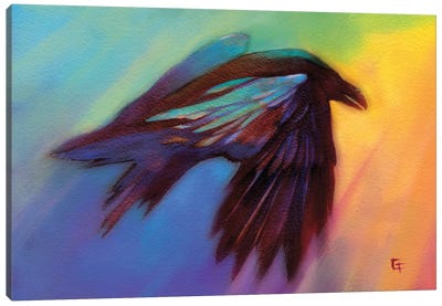 Raven in a Rainbow Canvas Art Print