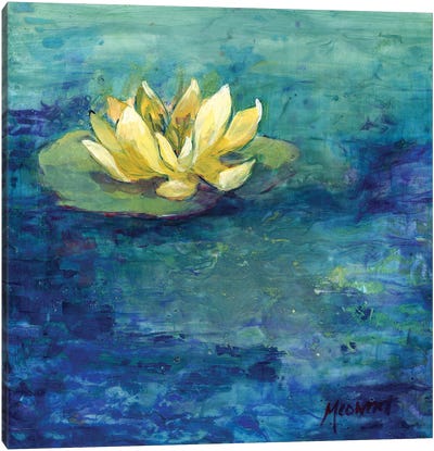 Yellow Water Lilly Canvas Art Print