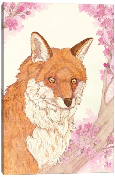 Fox And Blossoms Canvas Art Print - Cherry Blossom Art