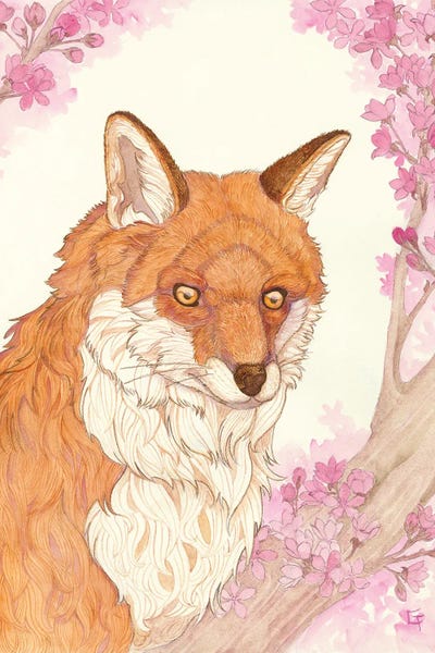 Cherry Blossoms: Fox And Blossoms by Might Fly Art & Illustration