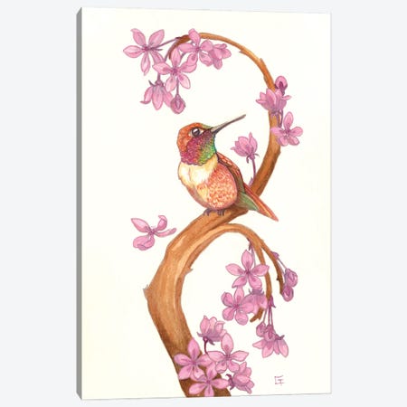 Rufous Humming Bird Canvas Print #FAI99} by Might Fly Art & Illustration Canvas Art