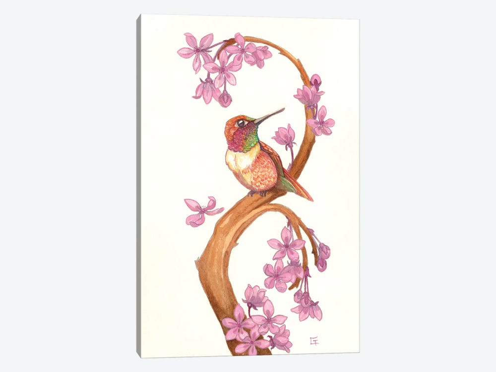 Rufous Humming Bird by Might Fly Art & Illustration 1-piece Canvas Wall Art