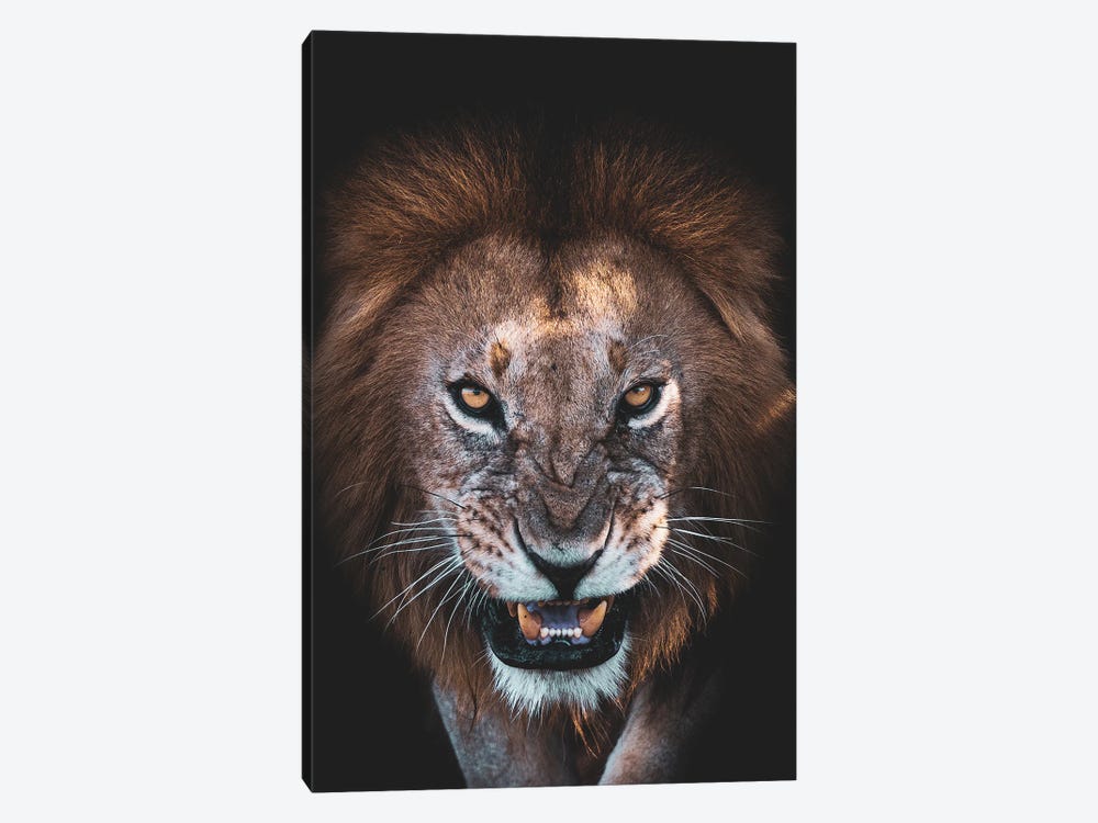 The Angry Face by Faisal Alnomas 1-piece Canvas Artwork