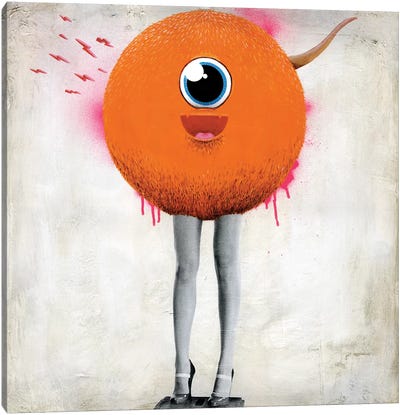 Eye Spy Canvas Art Print - Orange Art