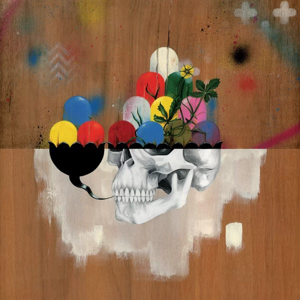 Skulls: Jelly Full Of Head by Famous When Dead