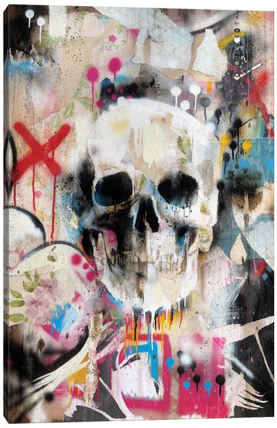 Skull Canvas Art Print - Street Art 