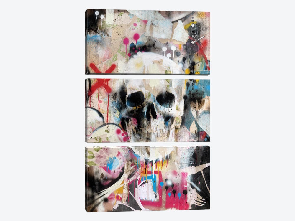 Skull by Famous When Dead 3-piece Canvas Art