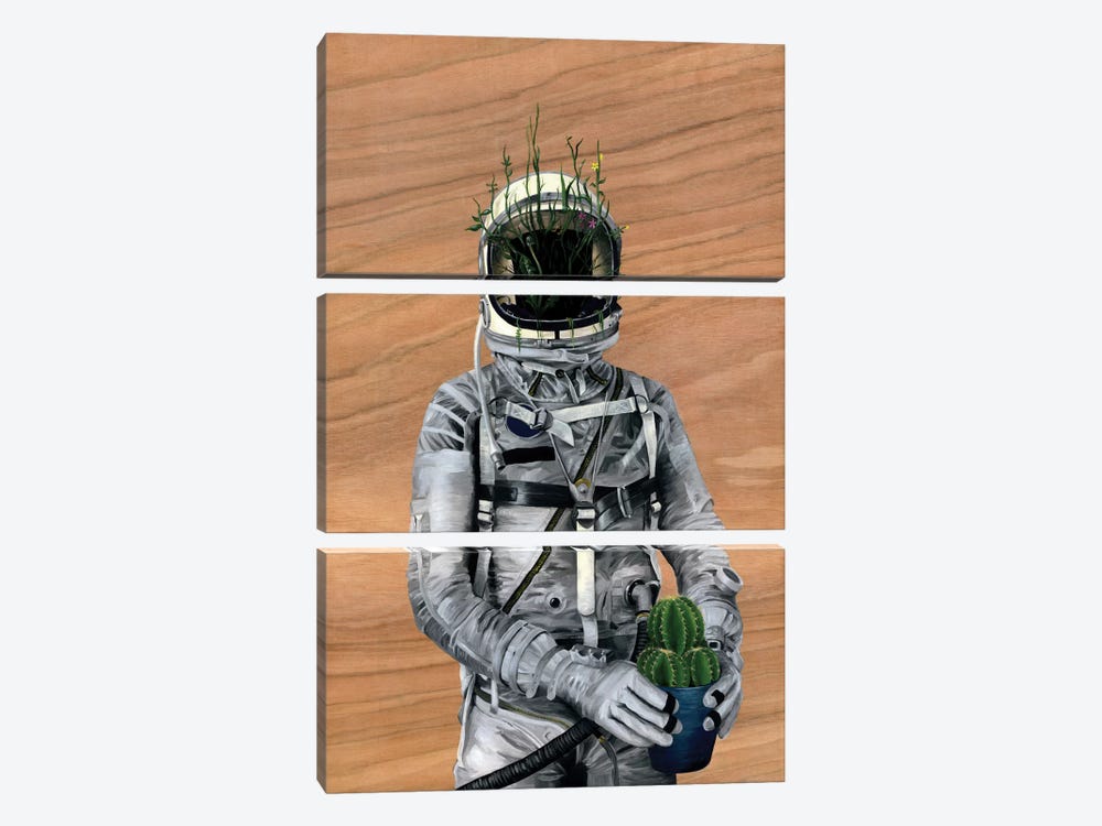 Spaceman I (Cacti) by Famous When Dead 3-piece Canvas Wall Art