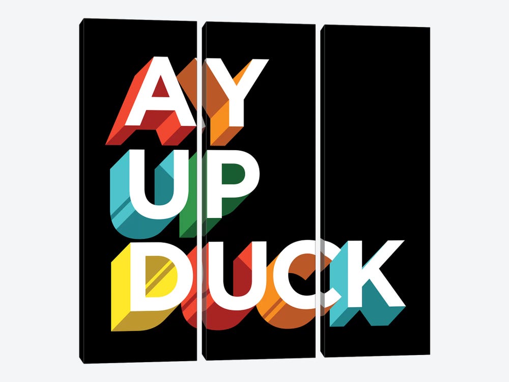 Ay Up Duck by Famous When Dead 3-piece Canvas Artwork
