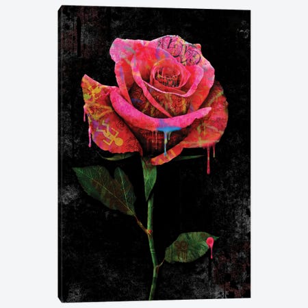 Rose Canvas Print #FAR26} by Frank Amoruso Canvas Art Print