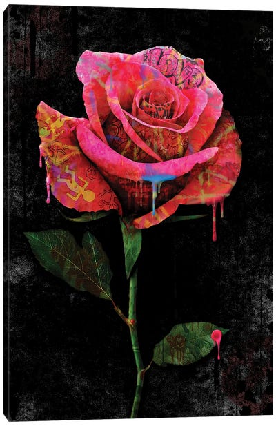 Rose Canvas Art Print - Frank Amoruso