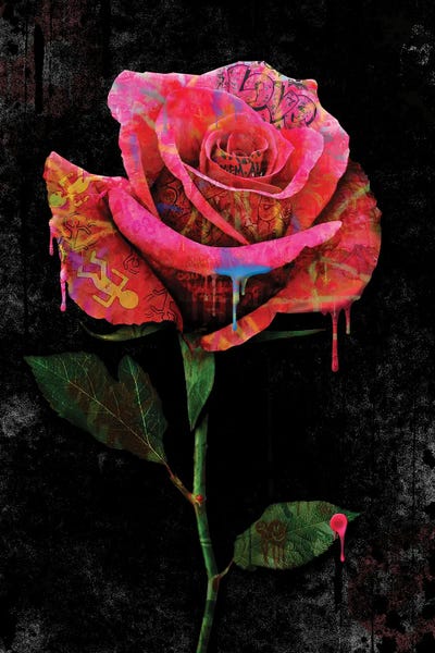 Frank Amoruso: Rose by Frank Amoruso