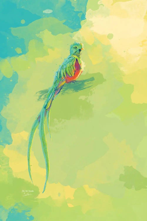 Resplendent Quetzal - Bird Digital Painting