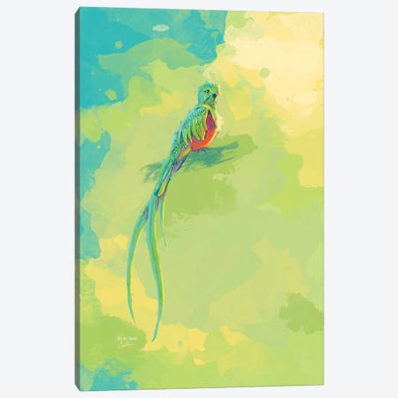 Resplendent Quetzal - Bird Digital Painting Canvas Print #FAS100} by Flo Art Studio Canvas Wall Art