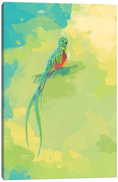 Resplendent Quetzal - Bird Digital Painting Canvas Art Print - Flo Art Studio