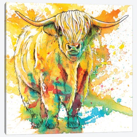 Highland Cow Canvas Print #FAS11} by Flo Art Studio Canvas Wall Art