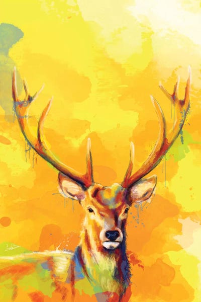 Forest King by Flo Art Studio canvas print