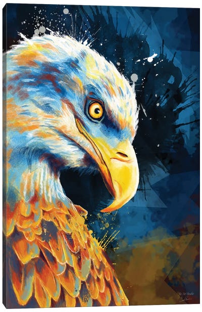 Eagle Eye Canvas Art Print - Flo Art Studio