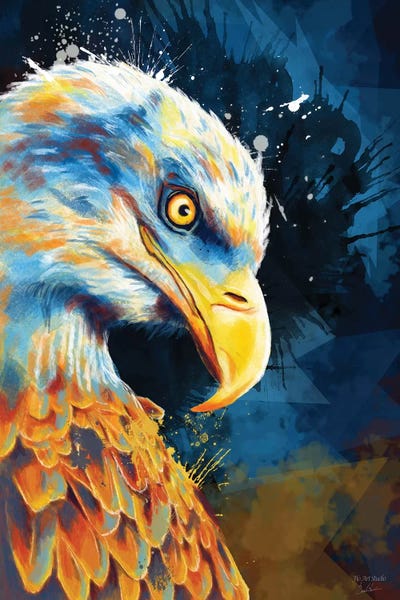 Flo Art Studio: Eagle Eye by Flo Art Studio