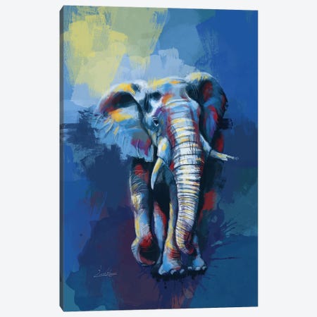 Elephant Dream Canvas Print #FAS18} by Flo Art Studio Canvas Wall Art