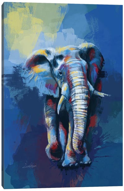 Elephant Dream Canvas Art Print - Flo Art Studio
